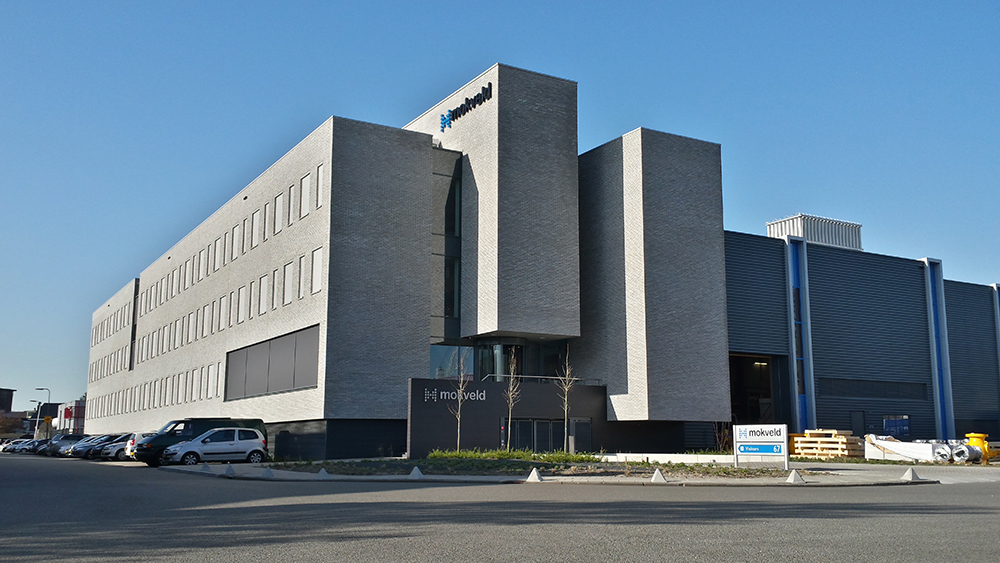 Mokveld